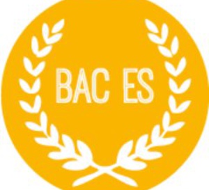 El  bachillerato ES (económicos y sociales)