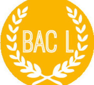 El  bachillerato L (Literaria)