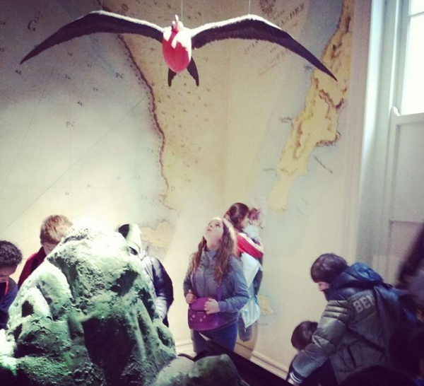 Visita 6èmes al Museo de Historia Natural de Valparaíso y al Acuario de Valparaíso.