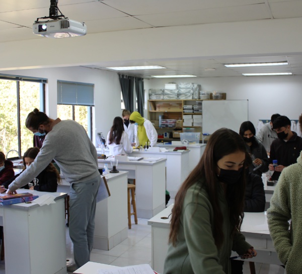 TP Physique Chimie: Les solutions ioniques