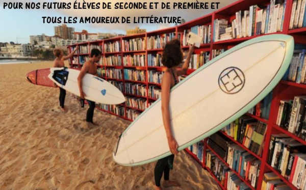 Pour ne pas oublier la littérature pendant les vacances