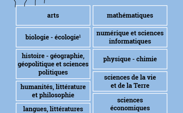 Reforma del Bac : Presentación de algunas especialidades