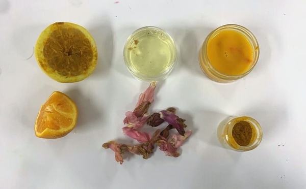 « BIO Art : une œuvre 100% recyclable »