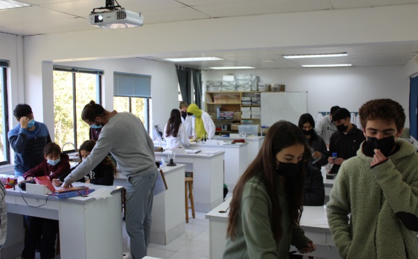 TP Physique Chimie: Les solutions ioniques