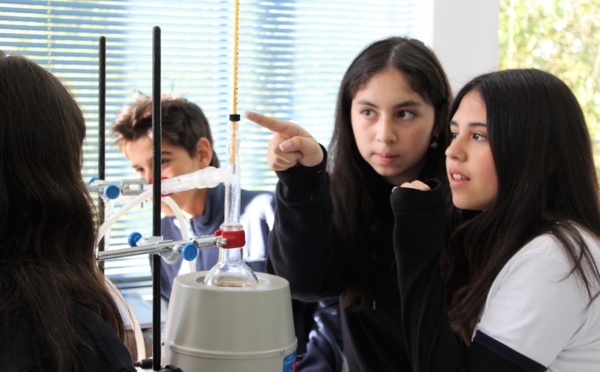 Physique-Chimie : distillation d'huile essentielle de lavande