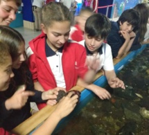 Visita 6emes al Acuario de Valparaíso