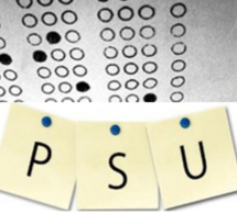 Exámen PSU