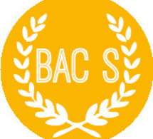 El  bachillerato S (Científico)