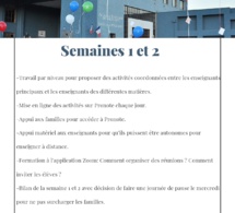 Primaire: Trabajo realizado para la organización de la educación a distancia
