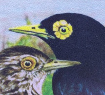 Biodiversité es-tu là ?