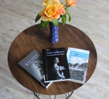 Visite de l'écrivaine Carla Guelfenbein, prix Alfaguara  2015