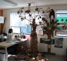 Des arbres à la BCD!