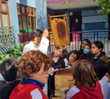 une immersion dans le monde des abeilles!