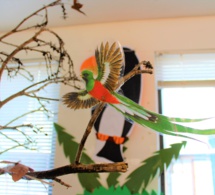 Exposition "Les Oiseaux" à la BCD