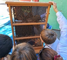 CM2 : Atelier d'Apiculture