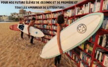 Pour ne pas oublier la littérature pendant les vacances
