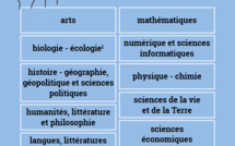 Réforme du Bac : Présentation de certaines spécialités