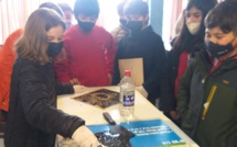 Xylographie en 6ème B Xylographie en 6ème B