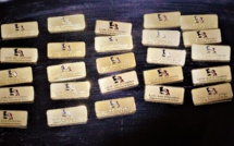 Cérémonie de remise des Piochas Génération 2023 Cérémonie de remise des Piochas Génération 2023