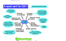 Les missions du CDI
