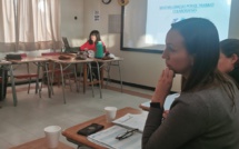 Constitution du Comité de bonne coexistence scolaire et du Comité d'éducation à la santé, à la citoyenneté et à l'environnement (CESCE)