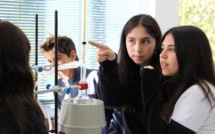 Physique-Chimie : distillation d'huile essentielle de lavande  Physique-Chimie : distillation d'huile essentielle de lavande