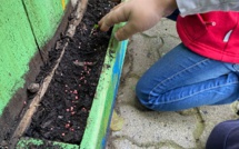 Atelier Horticulture