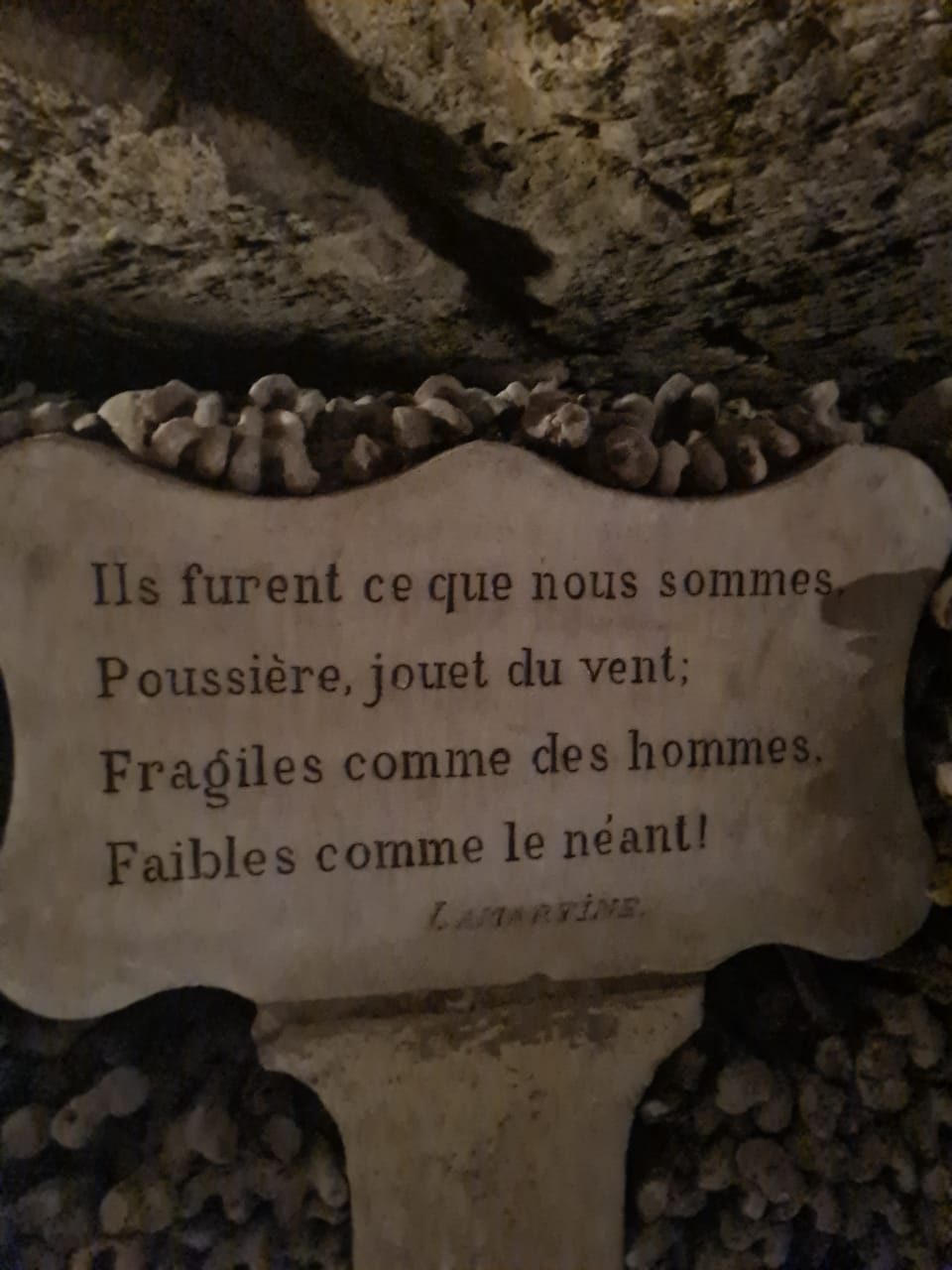 PHOTO-2023-12-17-09-43-30 PHOTO-2023-12-17-09-43-30