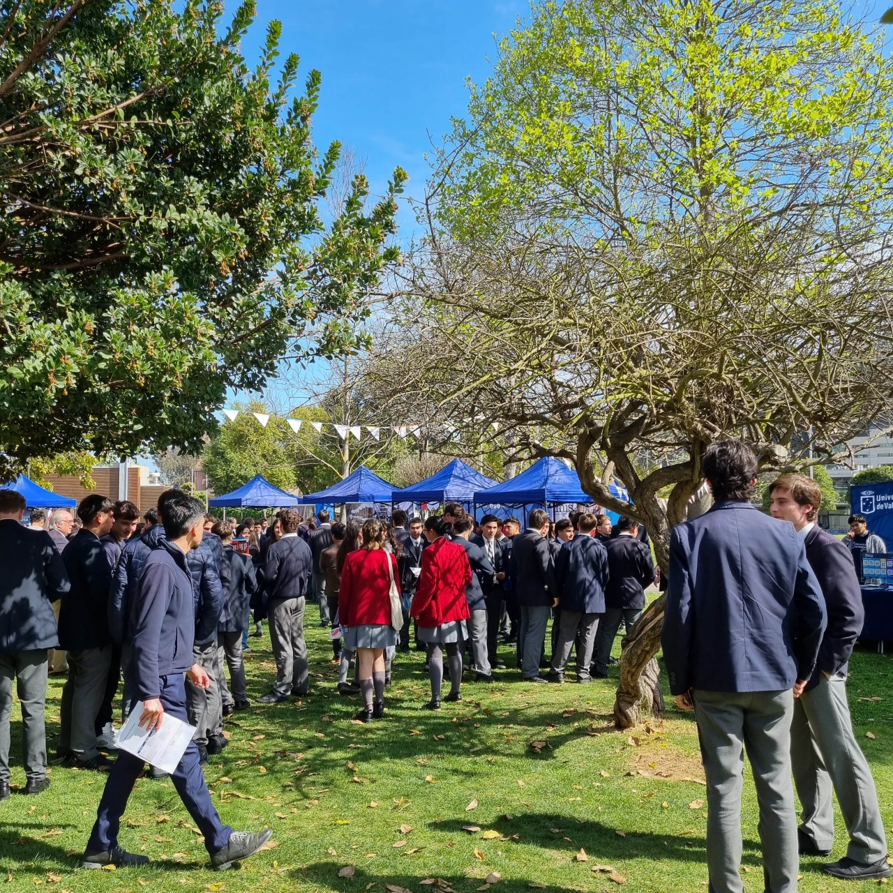 20240927_111753-min 20240927_111753-min