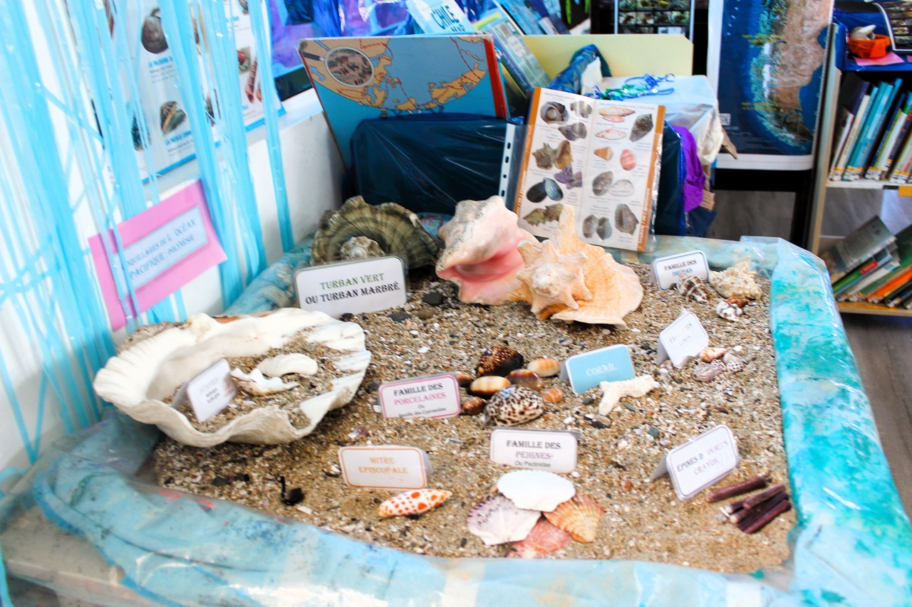 IMG_1462(1) IMG_1462(1)