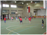 img17 img17