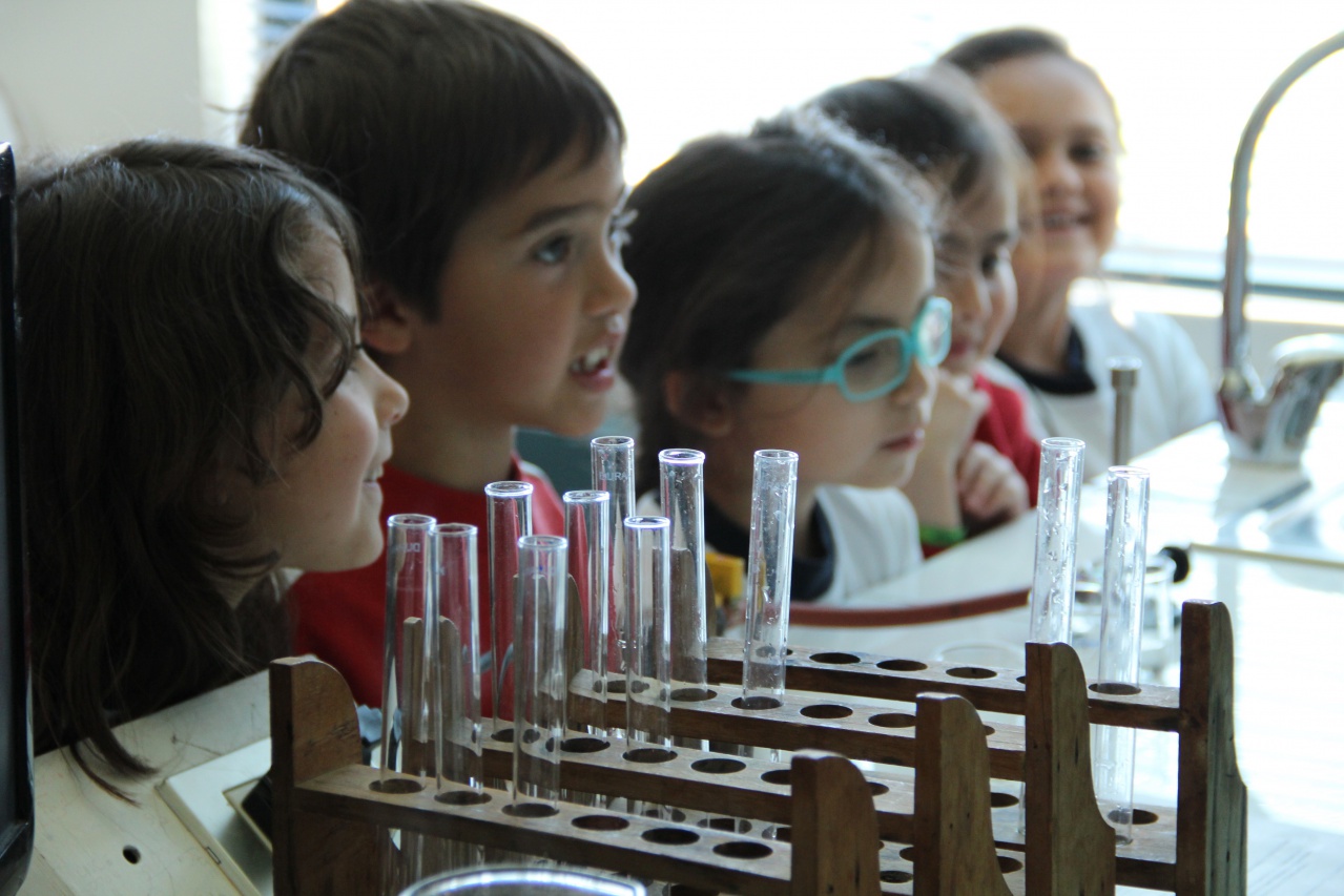 IMG_78 IMG_78