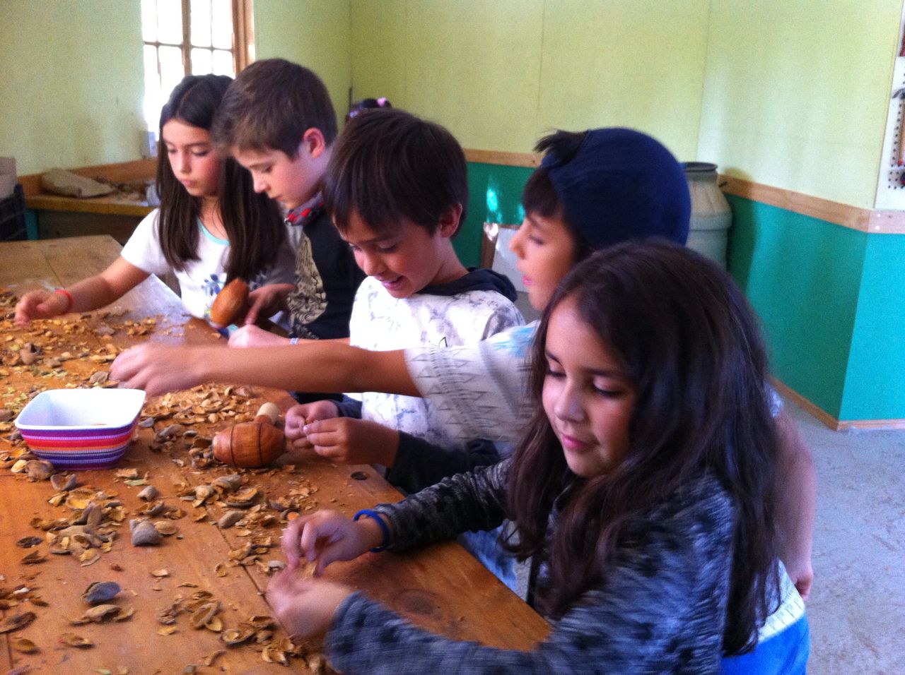 WhatsApp Image 2018-04-09 at 16.37.02